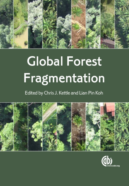 Global Forest Fragmentation, PDF eBook