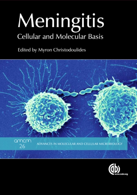 Meningitis : Cellular and Molecular Basis, PDF eBook