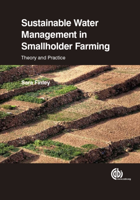 Sustainable Water Management in Smallholder Farming : Theory and Practice, Paperback / softback Book