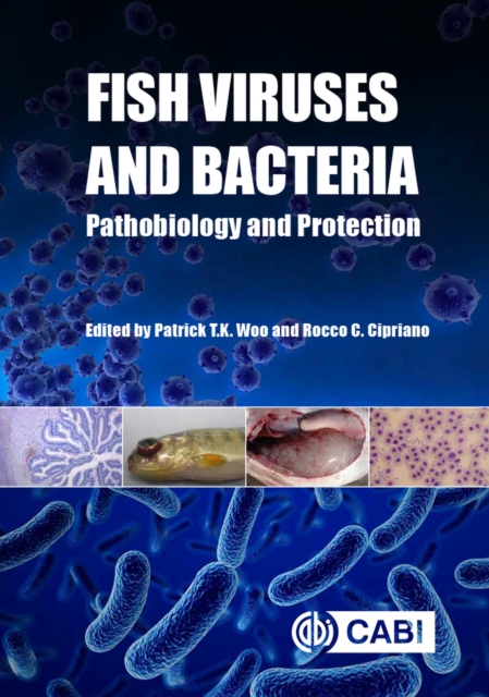 Fish Viruses and Bacteria : Pathobiology and Protection, Hardback Book