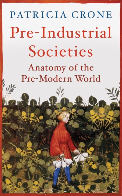 Pre-Industrial Societies : Anatomy of the Pre-Modern World, Paperback / softback Book