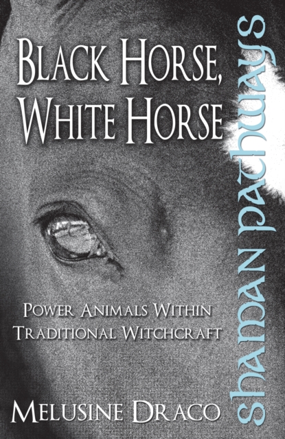 Shaman Pathways - Black Horse, White Horse, Paperback / softback Book