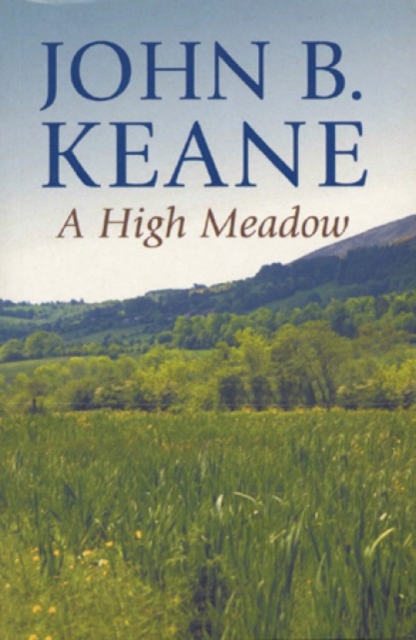 A High Meadow, EPUB eBook