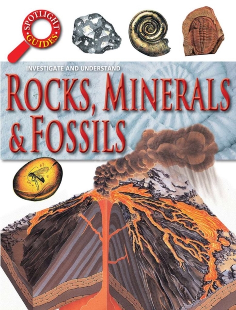Rocks Minerals and Fossils, Paperback / softback Book