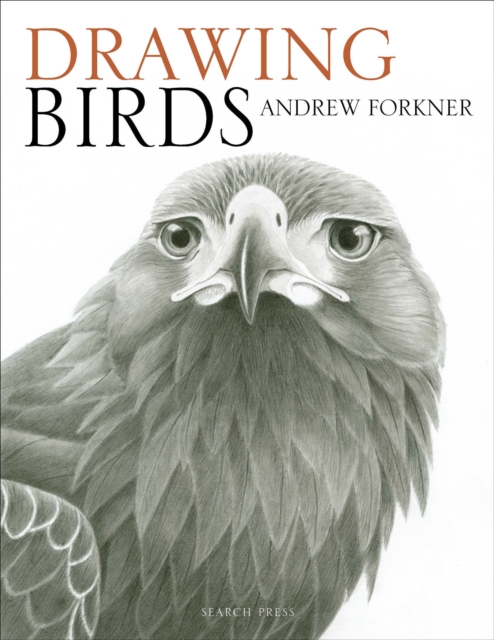 Drawing Birds, EPUB eBook