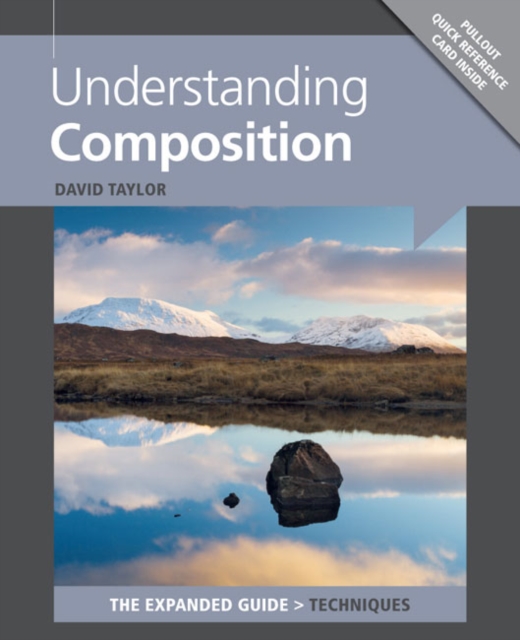 Understanding Composition, Paperback / softback Book