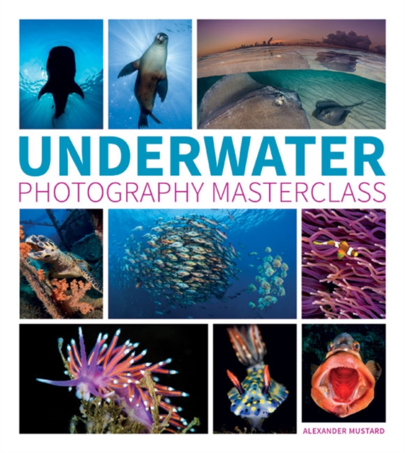Underwater Photography Masterclass, Paperback / softback Book