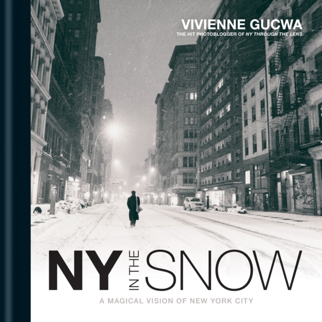 New York In The Snow, EPUB eBook