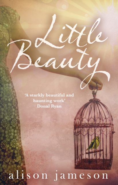Little Beauty, Paperback / softback Book