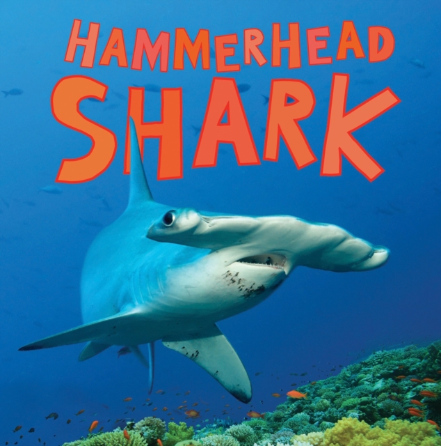 Discover Sharks: Hammerhead Shark, Paperback Book