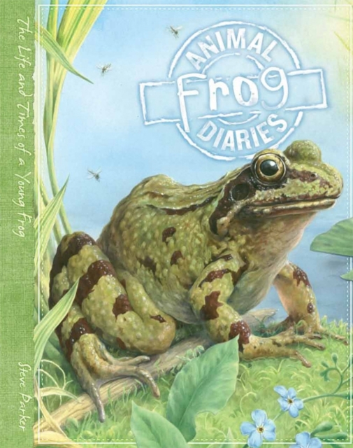 Animal Diaries: Frog, Hardback Book