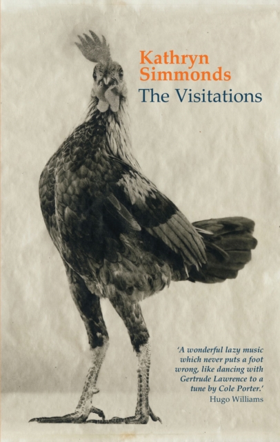 The Visitations, Paperback / softback Book