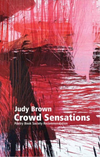 Crowd Sensations : A Novel out of Time, Paperback / softback Book