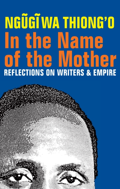 In the Name of the Mother : Reflections on Writers and Empire, EPUB eBook
