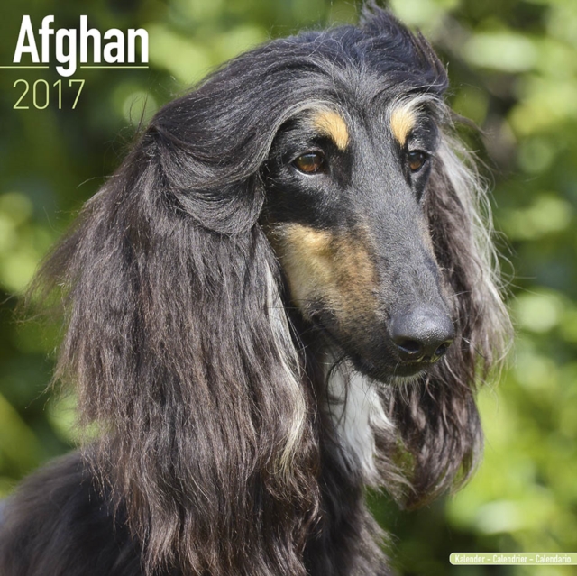 Afghan Calendar 2017, Paperback Book