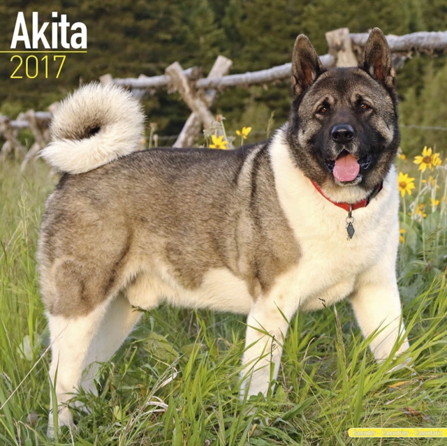 Akita Calendar 2017, Calendar Book