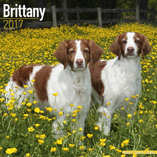 Brittany Calendar 2017, Calendar Book