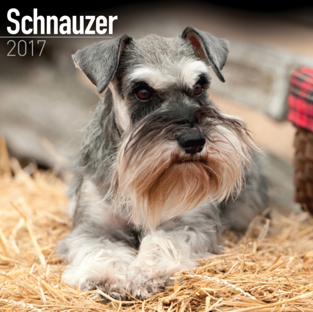 Schnauzer Calendar 2017, Calendar Book