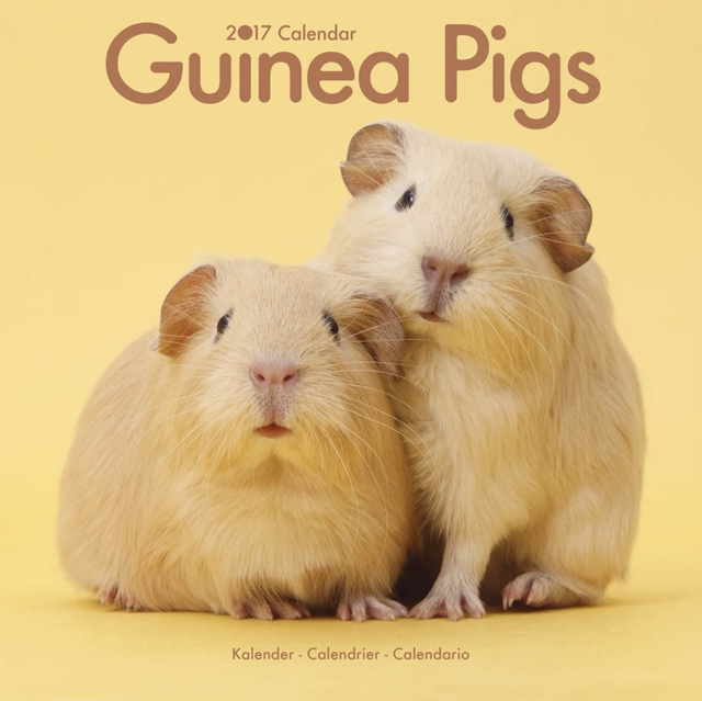 Guinea Pigs Calendar 2017, Calendar Book