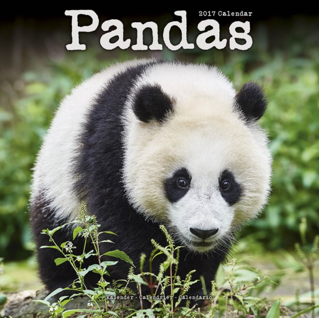 Pandas Calendar 2017, Calendar Book