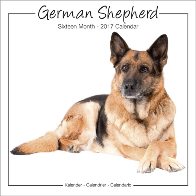 German Shepherd Studio Calendar 2017, Calendar Book