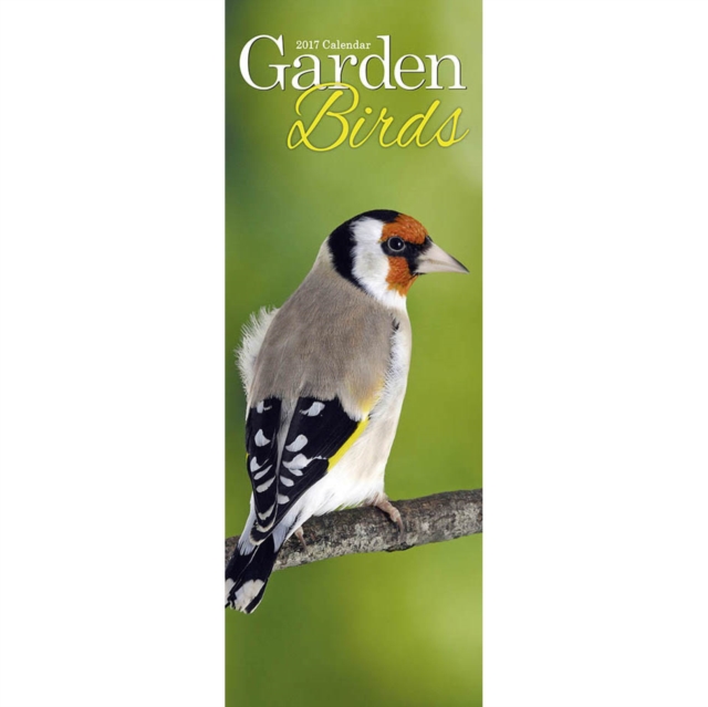 Garden Birds Slim Calendar 2017, Calendar Book