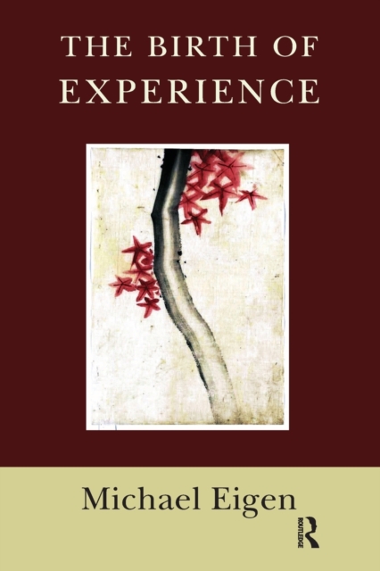 The Birth of Experience, Paperback / softback Book