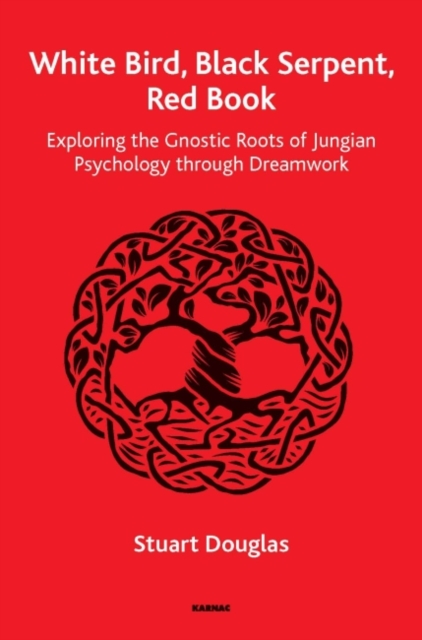 White Bird, Black Serpent, Red Book : Exploring the Gnostic Roots of Jungian Psychology through Dreamwork, Paperback / softback Book