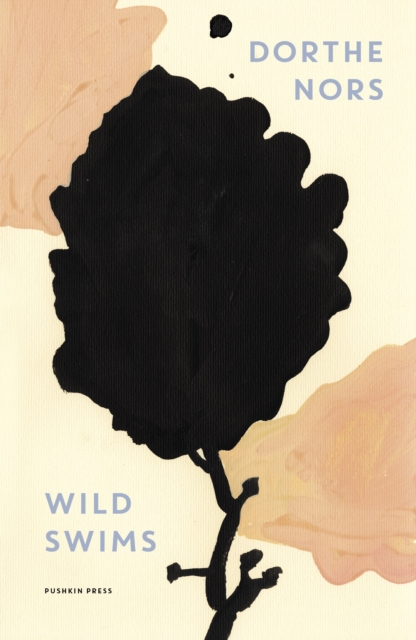 Wild Swims, Paperback / softback Book