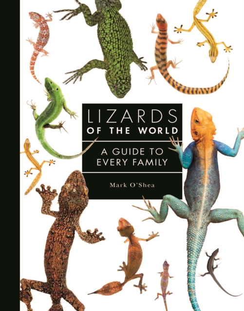 Lizards of the World : A Guide to Every Family, Hardback Book