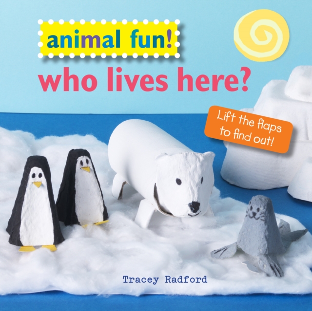 Animal Fun! Who Lives Here? : Lift the Flaps to Find out!, Hardback Book