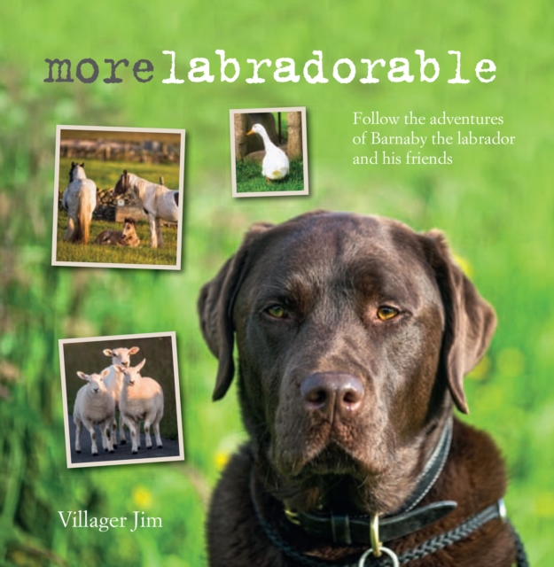 Morelabradorable : Follow the Adventures of Barnaby the Labrador and His Friends, Hardback Book