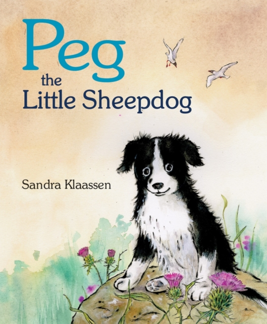 Peg the Little Sheepdog, Paperback / softback Book