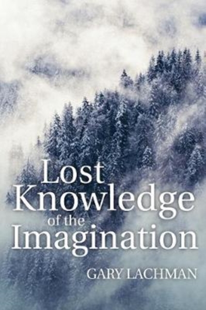 Lost Knowledge of the Imagination, Paperback / softback Book