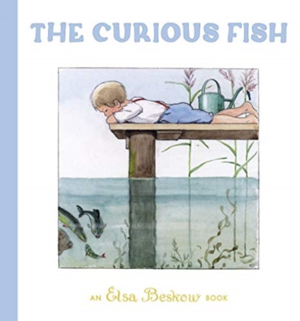 The Curious Fish, Hardback Book