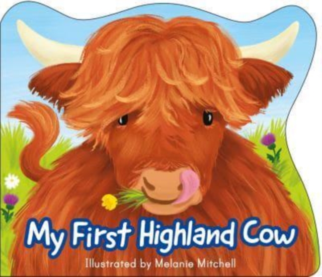 My First Highland Cow, Novelty book Book