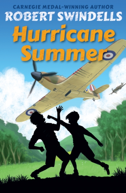 Hurricane Summer, Paperback / softback Book