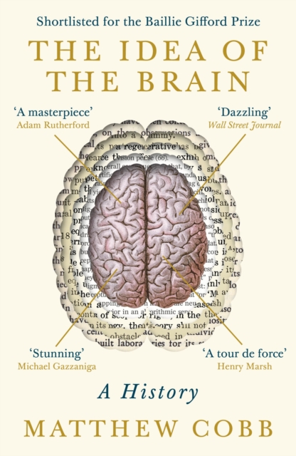 The Idea of the Brain : A History: SHORTLISTED FOR THE BAILLIE GIFFORD PRIZE 2020, EPUB eBook