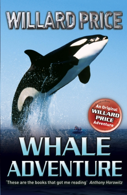 Whale Adventure, Paperback / softback Book