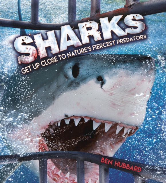 Sharks : Get Up Close to Nature's Fiercest Predators, Hardback Book