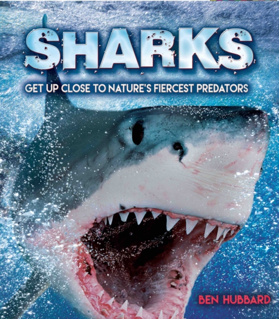 Sharks : Get Up Close to Nature's Fiercest Predators, Paperback / softback Book