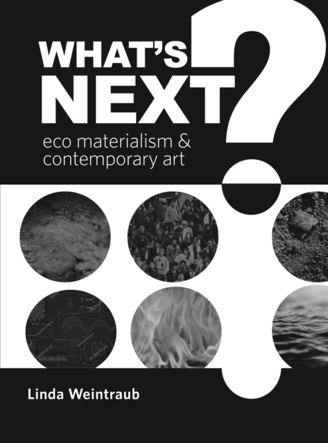 What's Next? : Eco Materialism and Contemporary Art, EPUB eBook