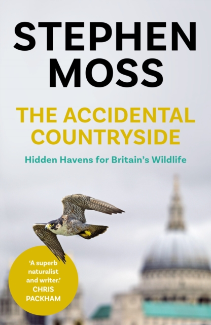 The Accidental Countryside : Hidden Havens for Britain's Wildlife, EPUB eBook