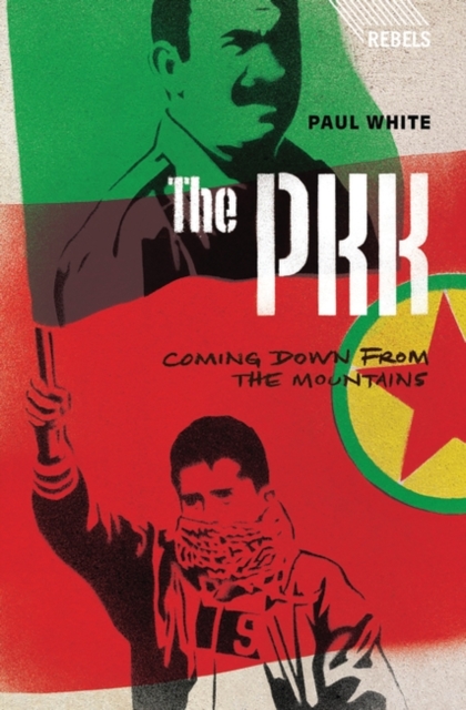 The PKK : Coming Down from the Mountains, PDF eBook