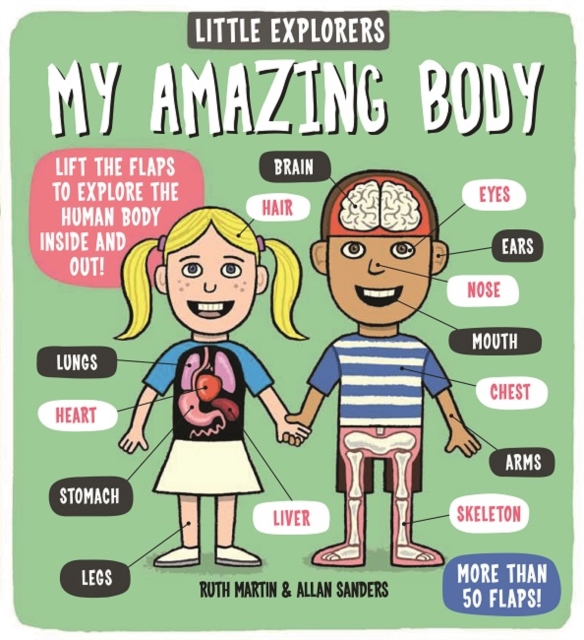 Little Explorers: My Amazing Body, Board book Book