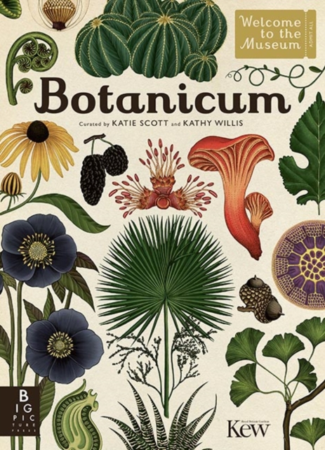 Botanicum, Hardback Book