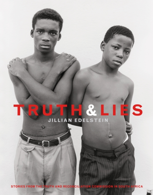 Truth And Lies : Stories From The Truth And Reconcilliation Commission In South Africa, EPUB eBook