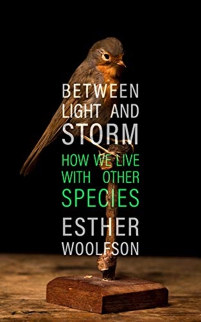 Between Light and Storm : How We Live With Other Species, Hardback Book