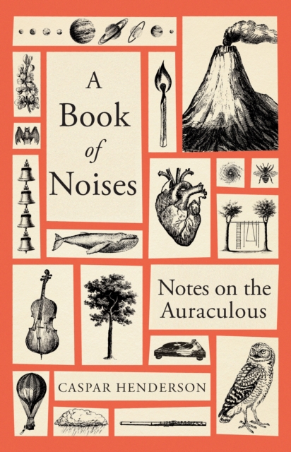 A Book of Noises : Notes on the Auraculous, EPUB eBook