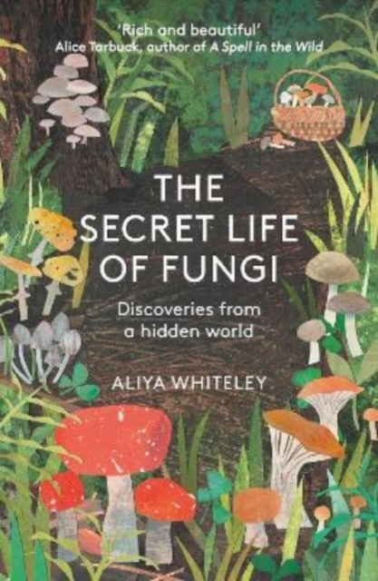The Secret Life of Fungi : Discoveries from a Hidden World, Paperback / softback Book